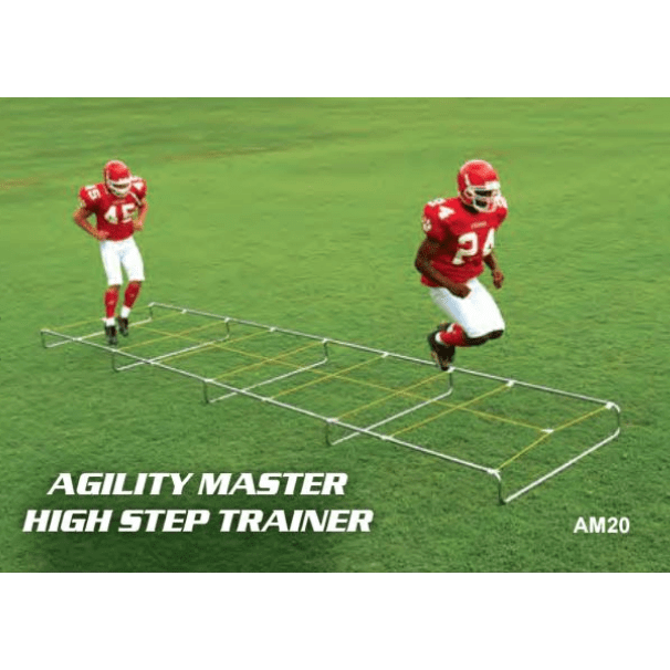 Fisher Athletic Agility Master High Step Ladder Trainer