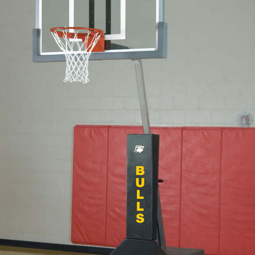 Bison Inc.Bison Inc. Club Court Super Glass Portable Adjustable Basketball SystemBA833XL
