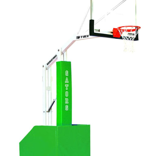 Bison Inc.Bison Inc. T-REX® Recreational Portable Basketball System for Indoor UseBA894USR-BK